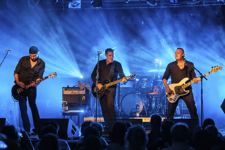 Konzert von Falkenberg & Die Band in Dresden