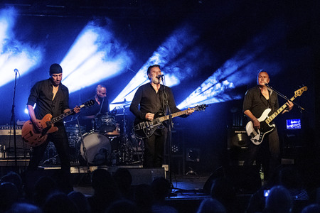 Konzert von Falkenberg & Die Band in Dresden