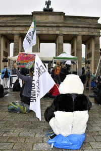 Globaler Klimastreik von Fridays for Future in Berlin