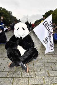 Globaler Klimastreik von Fridays for Future in Berlin