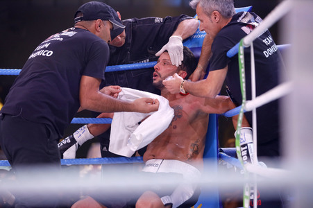 2. Kampfabend 'Das große SAT.1 Promiboxen' in Köln