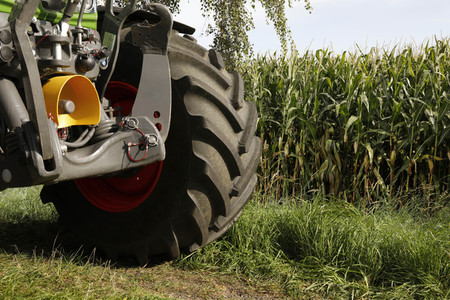 AGRAR ART: Maisfeld / Cornfield Bodypainting