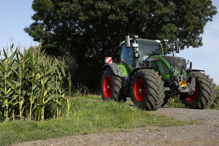 AGRAR ART: Maisfeld / Cornfield Bodypainting
