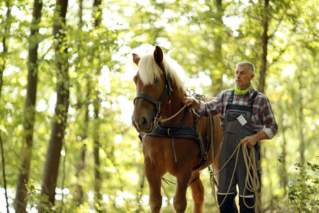 Deutsche Meisterschaft der Pferderücker in Erftstadt