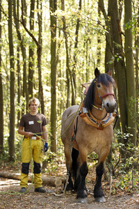 Deutsche Meisterschaft der Pferderücker in Erftstadt