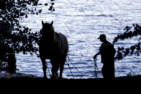 Deutsche Meisterschaft der Pferderücker in Erftstadt