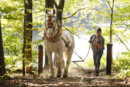 Deutsche Meisterschaft der Pferderücker in Erftstadt