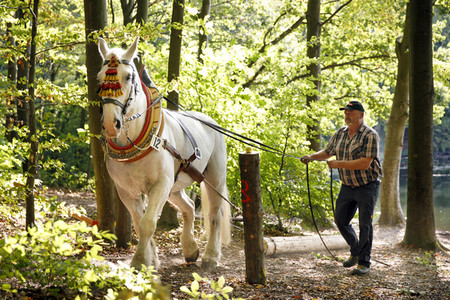 Deutsche Meisterschaft der Pferderücker in Erftstadt