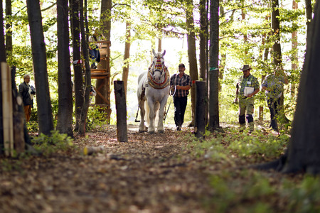 Deutsche Meisterschaft der Pferderücker in Erftstadt