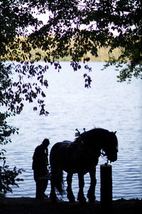 Deutsche Meisterschaft der Pferderücker in Erftstadt