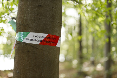 Deutsche Meisterschaft der Pferderücker in Erftstadt