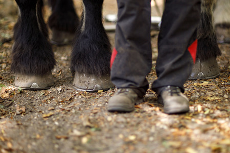 Deutsche Meisterschaft der Pferderücker in Erftstadt