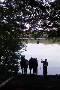 Deutsche Meisterschaft der Pferderücker in Erftstadt