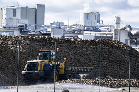 Nordzucker AG Zuckerfabrik in Nordstemmen