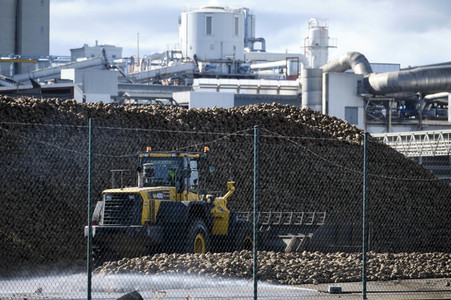 Nordzucker AG Zuckerfabrik in Nordstemmen