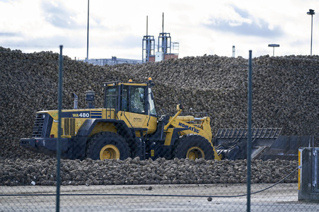Nordzucker AG Zuckerfabrik in Nordstemmen