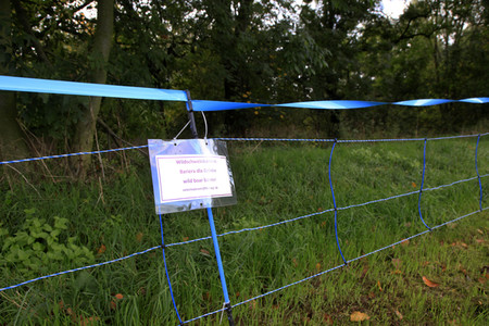 Wildschweinbarriere bei Görlitz
