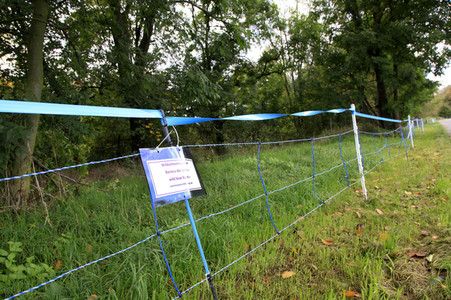 Wildschweinbarriere bei Görlitz