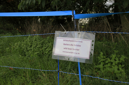 Wildschweinbarriere bei Görlitz