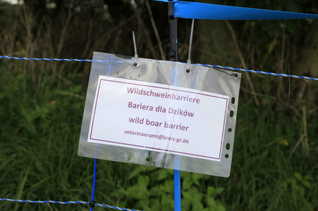 Wildschweinbarriere bei Görlitz
