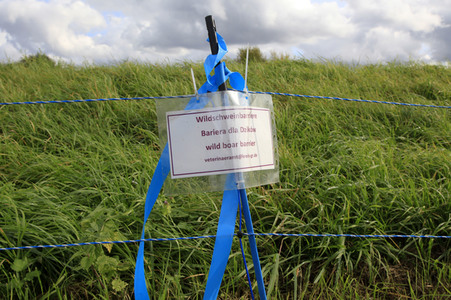 Wildschweinbarriere bei Görlitz