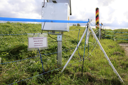 Wildschweinbarriere bei Görlitz