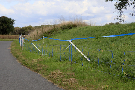 Wildschweinbarriere bei Görlitz