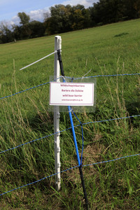 Wildschweinbarriere bei Görlitz