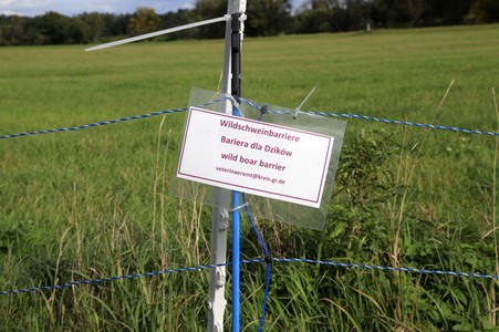 Wildschweinbarriere bei Görlitz