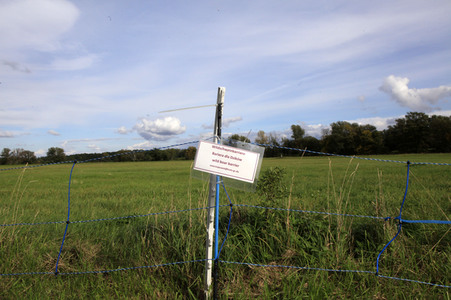 Wildschweinbarriere bei Görlitz