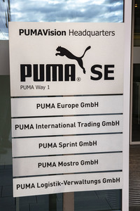 Symbolfoto Puma