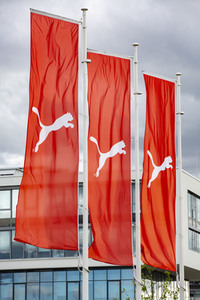 Symbolfoto Puma