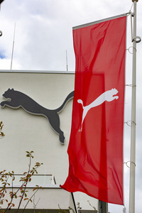 Symbolfoto Puma