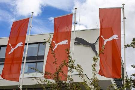 Symbolfoto Puma