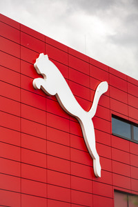 Symbolfoto Puma