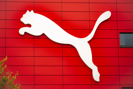 Symbolfoto Puma