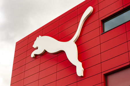 Symbolfoto Puma