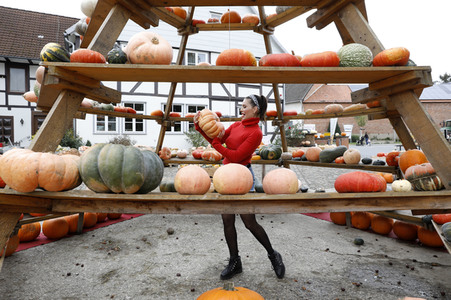 Kürbiskauf mit Dany Michalski in Eldagsen