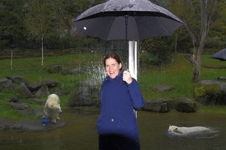 Eisbären im Tierpark Hellabrunn in München