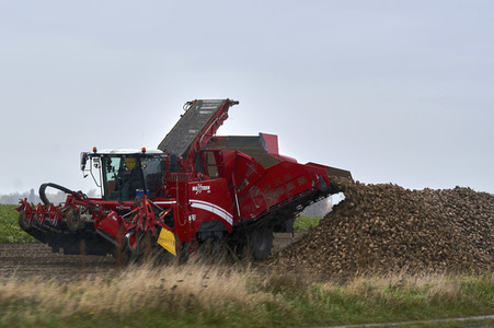 Symbolfoto Rübenernte