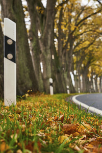 Symbolfoto Straßenverkehr in Herbst