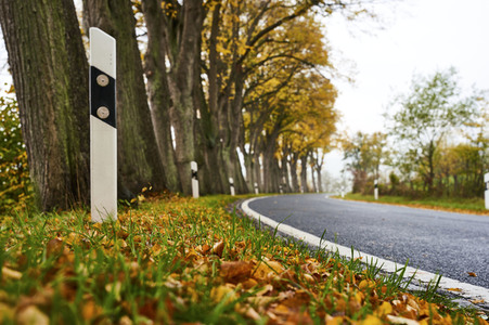 Symbolfoto Straßenverkehr in Herbst