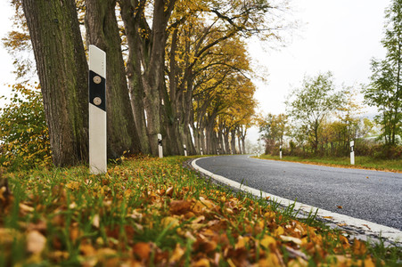 Symbolfoto Straßenverkehr in Herbst