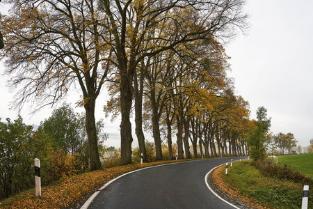 Symbolfoto Straßenverkehr in Herbst