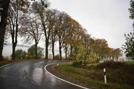Symbolfoto Straßenverkehr in Herbst