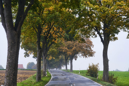 Symbolfoto Straßenverkehr in Herbst