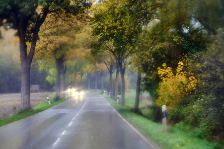 Symbolfoto Straßenverkehr in Herbst