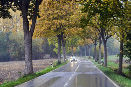 Symbolfoto Straßenverkehr in Herbst