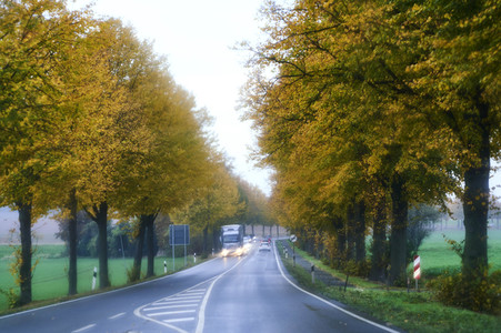 Symbolfoto Straßenverkehr in Herbst