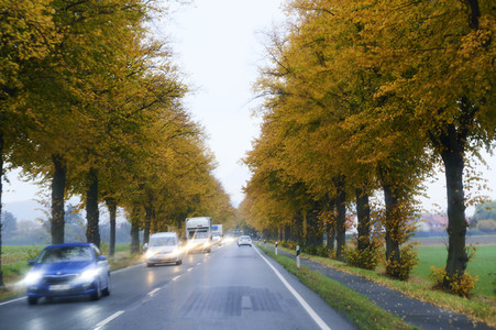 Symbolfoto Straßenverkehr in Herbst